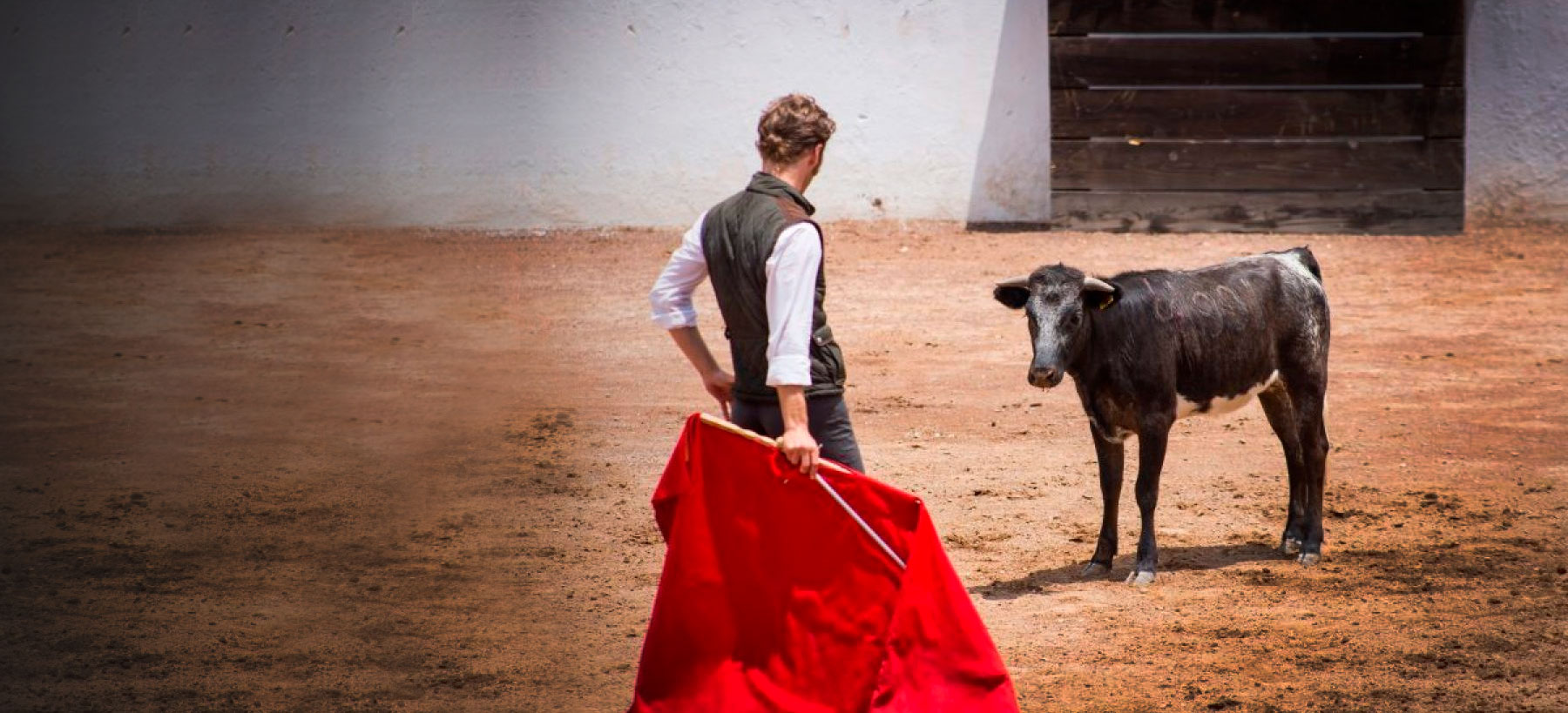 ¡Acabemos juntos con las fiestas populares con toros!